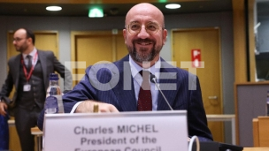 Mišel protiv Lajen